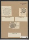 Coscinodiscus marginatus Ehr. (de-Toni-Nr.: Genus 202, Species 4966) Zeichnungen Sammlung Grunow Nr. 8559 (NHMW-BOT-W0378202)